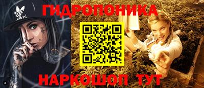 мяу мяу мука Нарткала