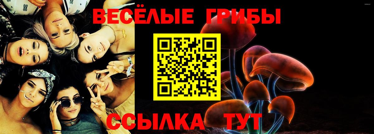 Псилоцибиновые грибы Magic Shrooms Усолье-Сибирское